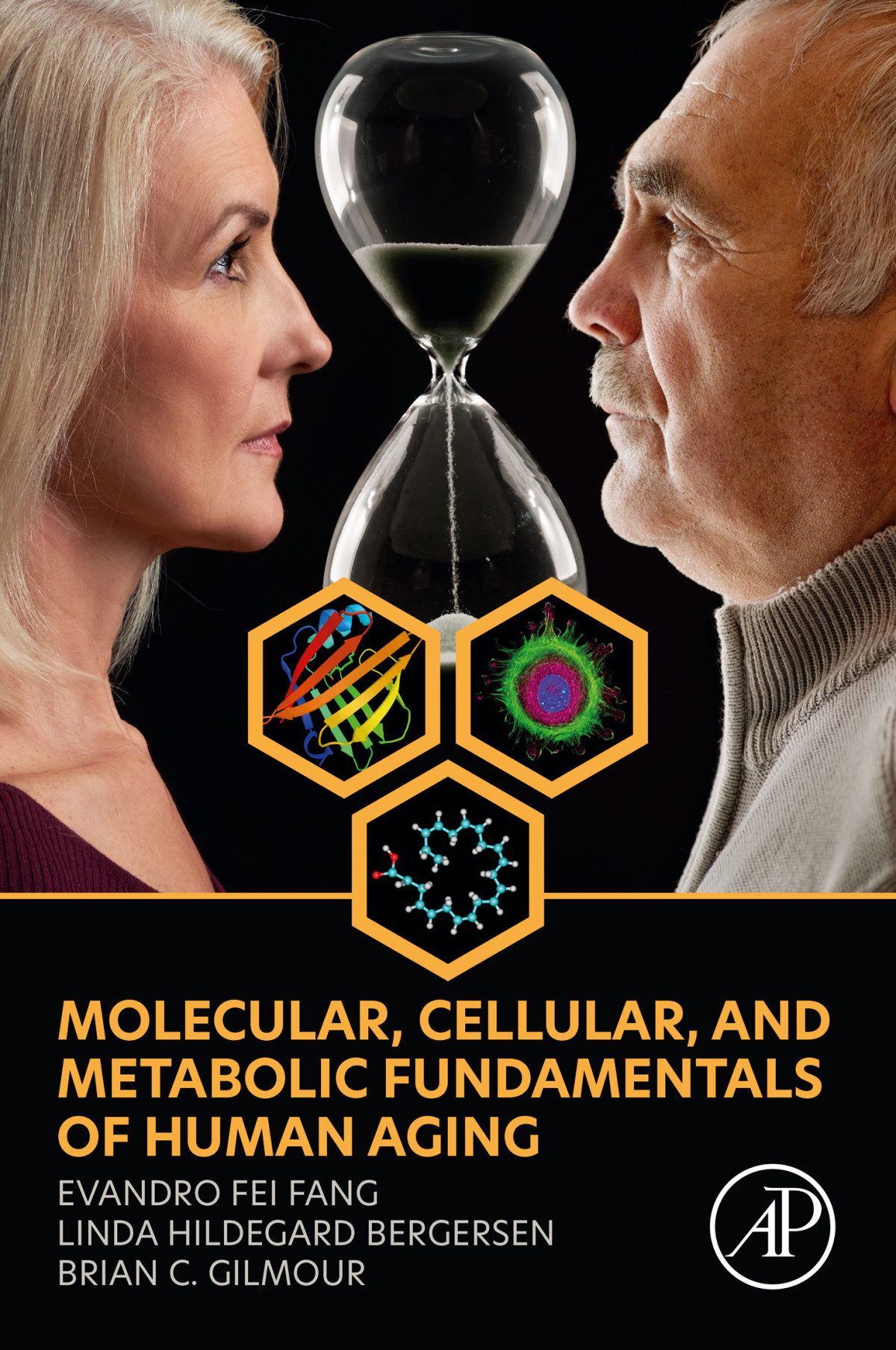 Molecular Cellular And Metabolic Fundamentals Of Human Aging Evandro Fei Fanglinda Hildegard Bergersenbrian C Gilmour Linda Hildegard Bergersen Brian C Gilmour