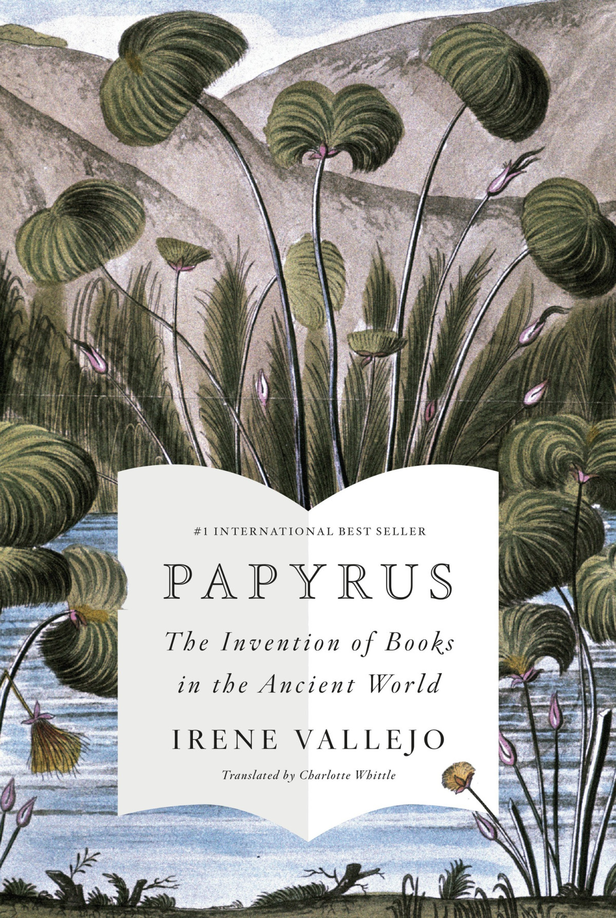 Papyrus The Invention Of Books In The Ancient World Irene Vallejo