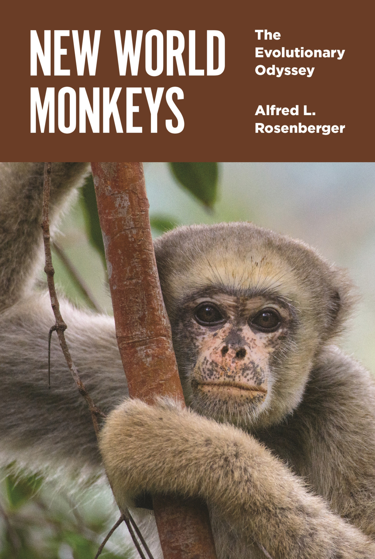 New World Monkeys Alfred L Rosenberger