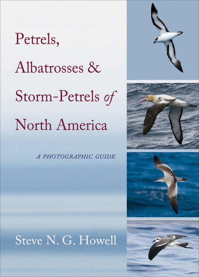 Petrels Albatrosses And Stormpetrels Of North America Steve N G Howell
