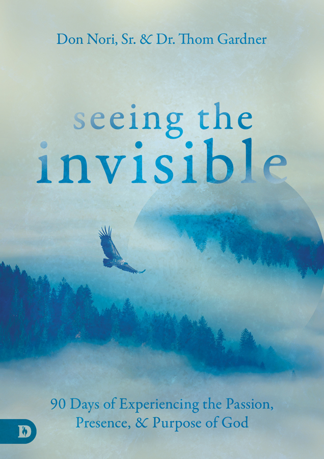 Seeing The Invisible 1st Edition Don Nori