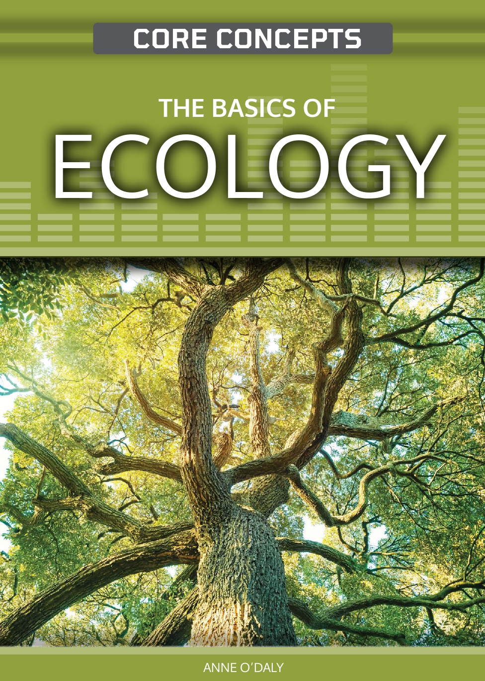 The Basics Of Ecology Anne Wanjie