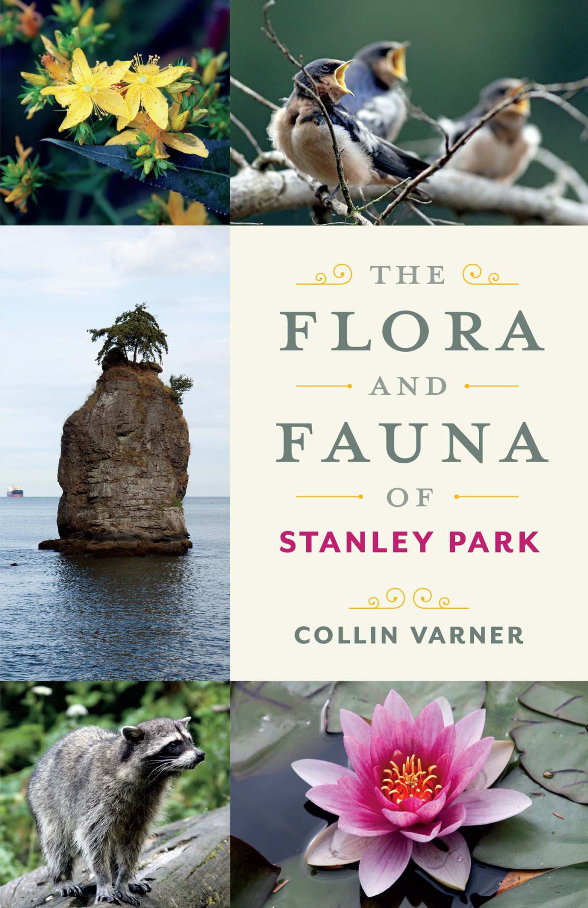 The Flora And Fauna Of Stanley Park Collin Varner