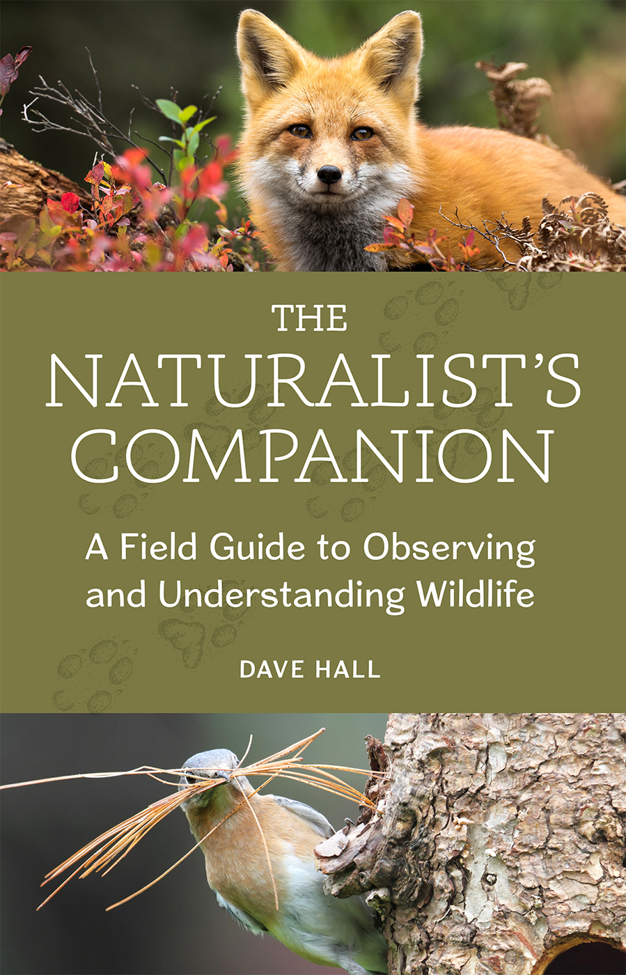 The Naturalists Companion Dave Hall