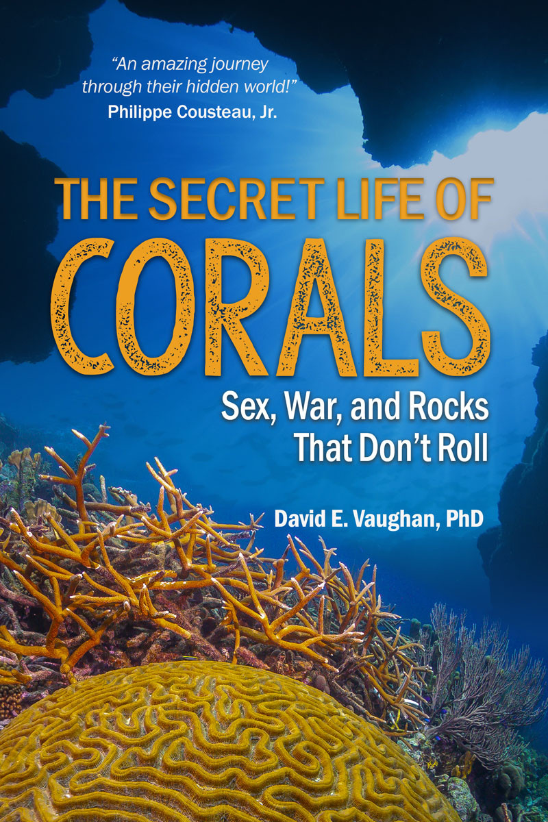The Secret Life Of Corals David E Vaughan