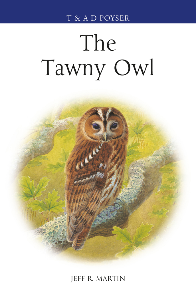 The Tawny Owl Jeff Martin