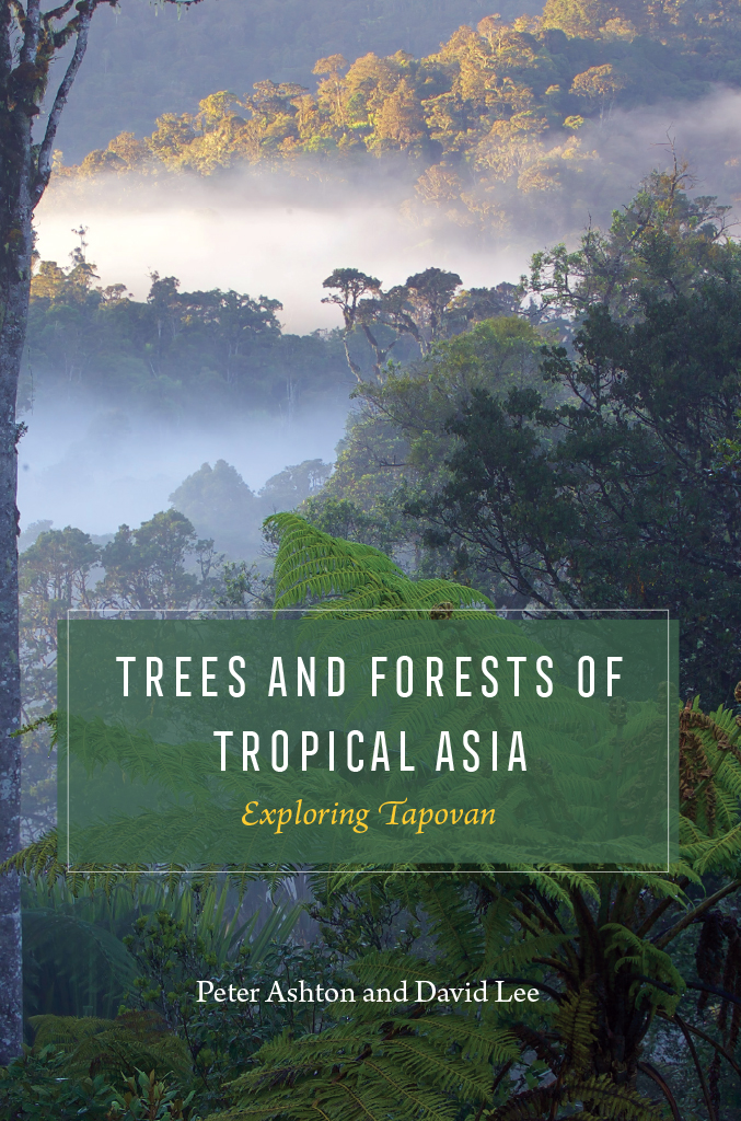 Trees And Forests Of Tropical Asia Exploring Tapovan Peter Ashton David Lee