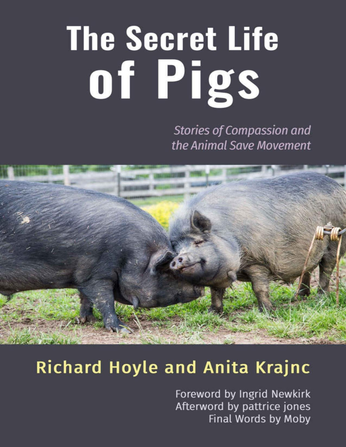 The Secret Life Of Pigs Stories Of Compassion And The Animal Save Movement Richard Hoyle