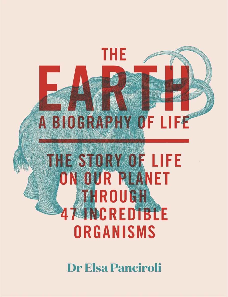 The Earth A Biography Of Life The Story Of Life On Our Planet Through 47 Incredible Creatures Elsa Panciroli