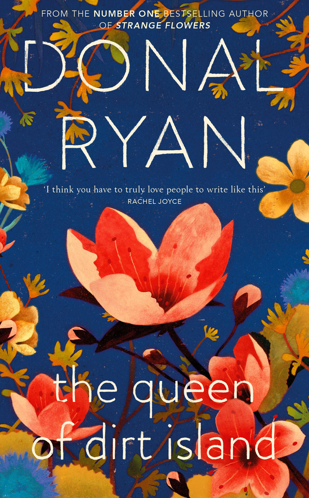 The Queen Of Dirt Island Donal Ryan