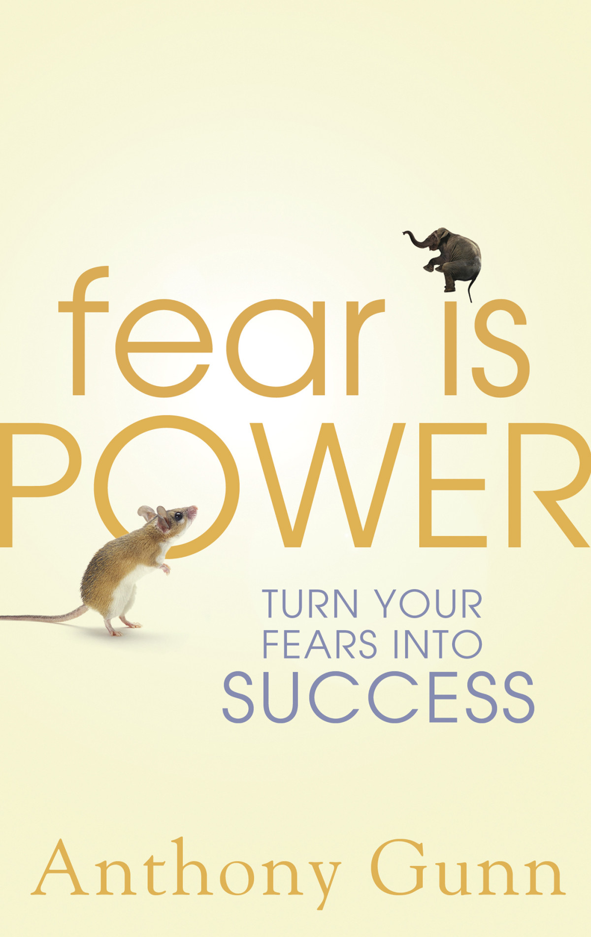 Fear Is Power Turn Your Fears Into Success Anthony Gunn
