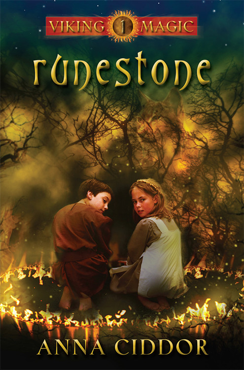 Runestone Viking Magic Book 1 Anna Ciddor