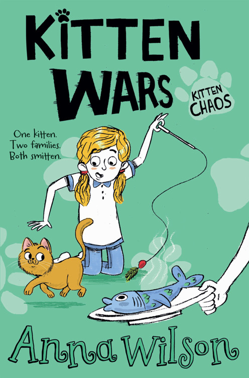 Kitten Wars Anna Wilson