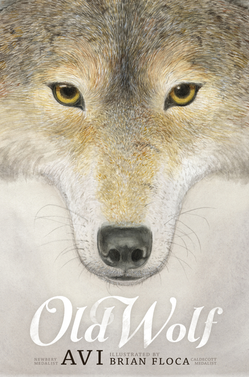 Old Wolf Avi
