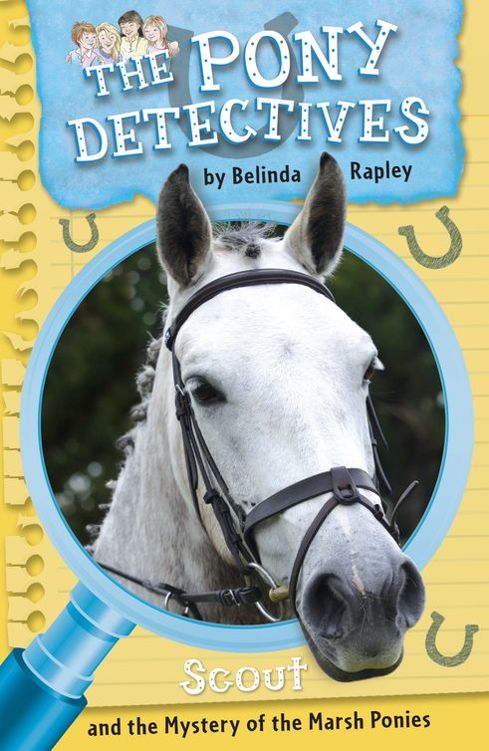 The Pony Detectives 2 Scout The Mystery Of The Marsh Ponies 1st Edition Belinda Rapley