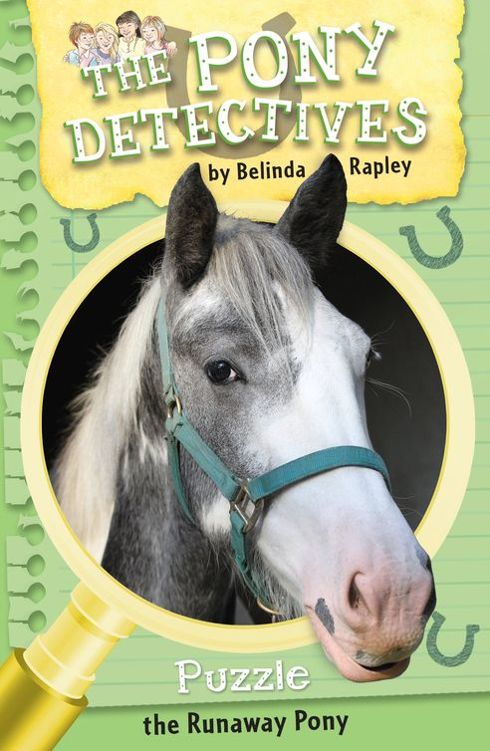 Puzzle The Runaway Pony Belinda Rapley