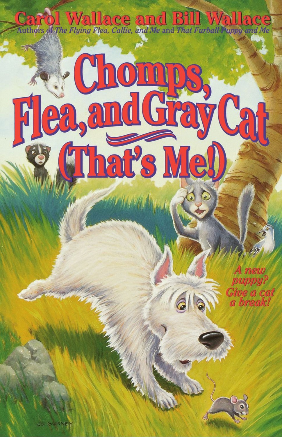 Chomps Flea And Gray Cat Thats Me Gray Cat Book 3 Carol Wallace Bill Wallace
