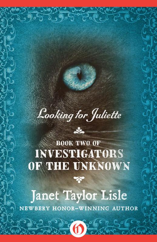 Looking For Juliette Inves Of The Unknown 2 Janet Taylor Lisle