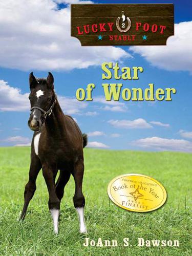 Lucky Foot Stable 2 Star Of Wonder Joann S Dawson