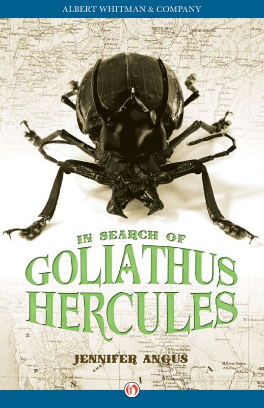 In Search Of Goliathus Hercules Jennifer Angus