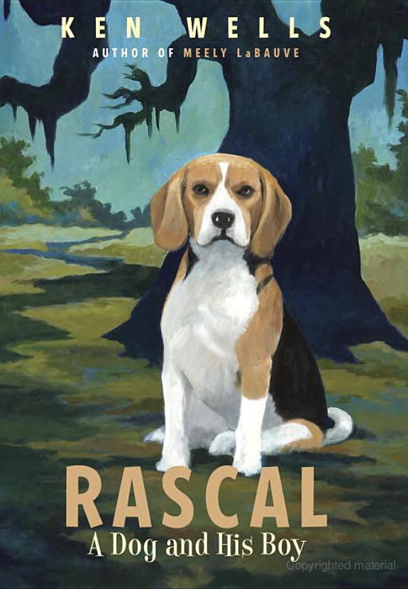 Rascal A Dog And His Boy Ken Wells