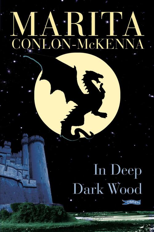 In Deep Dark Wood Marita Conlonmckenna