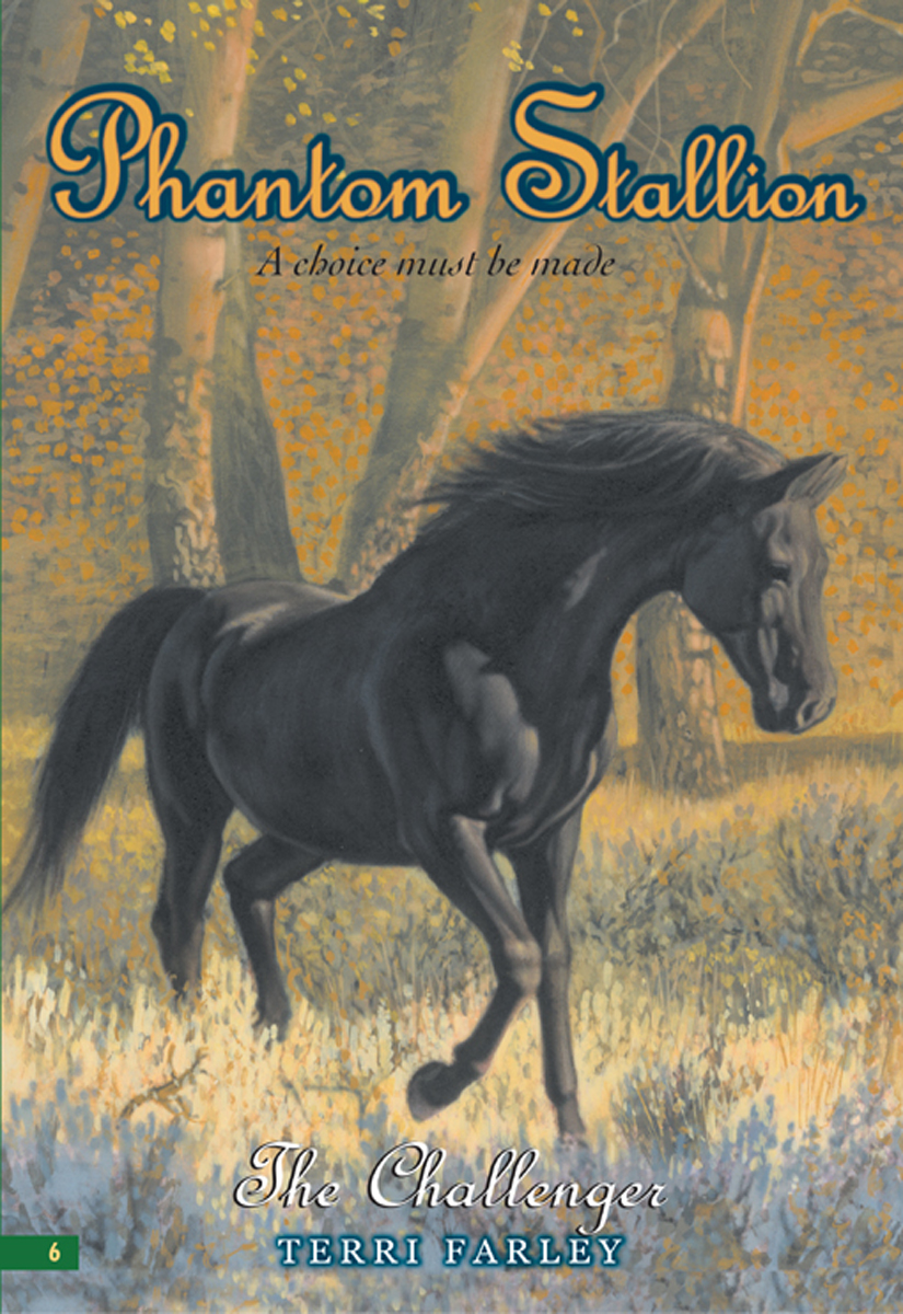 The Challenger Phantom Stallion 6 Terri Farley
