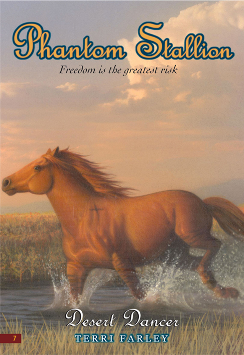 Desert Dancer Phantom Stallion 7 Terri Farley
