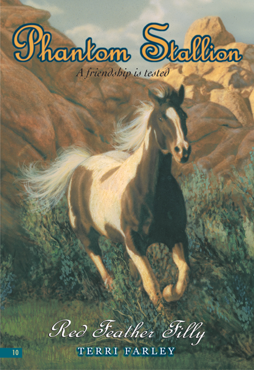Red Feather Filly Phantom Stallion 10 Terri Farley