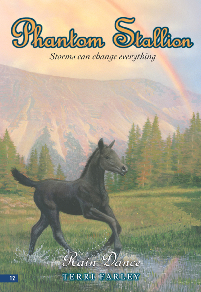 Rain Dance Phantom Stallion 12 Terri Farley