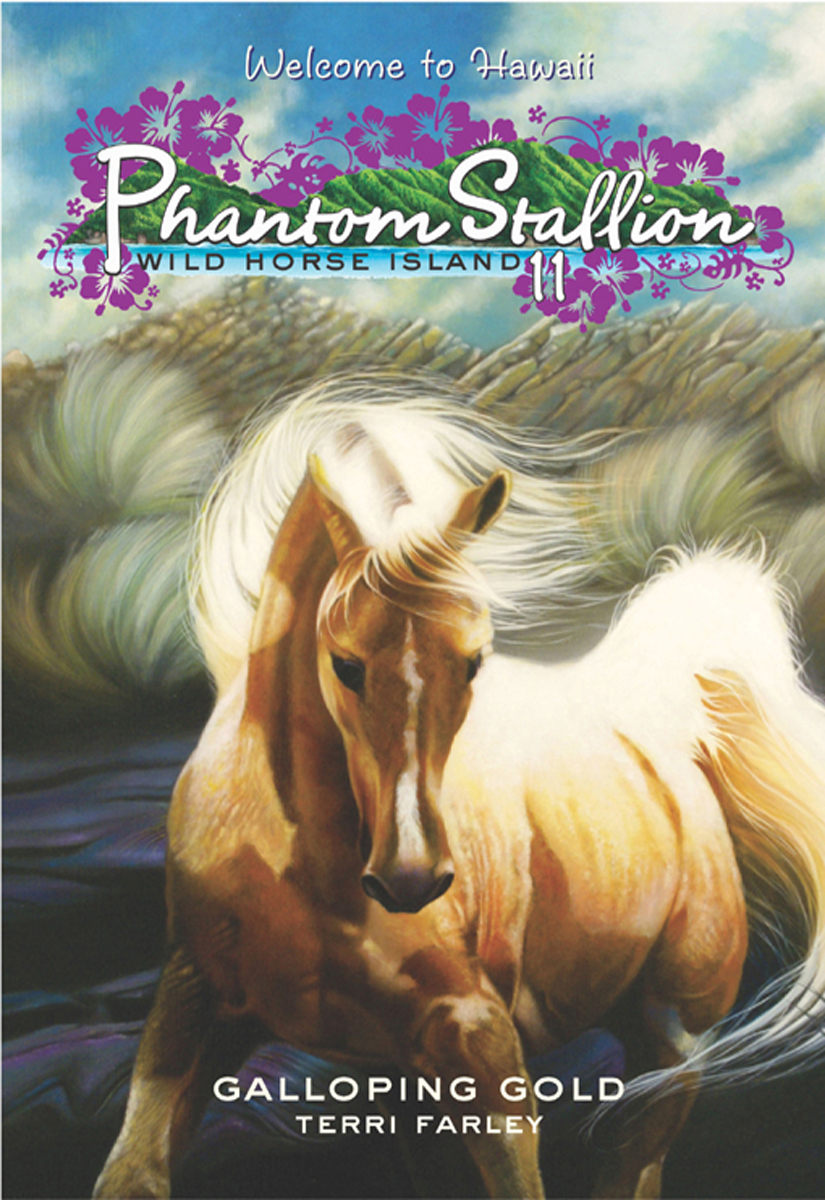 Wild Horse Island 11 Galloping Gold Terri Farley