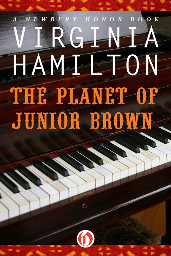 The Planet Of Junior Brown Virginia Hamilton