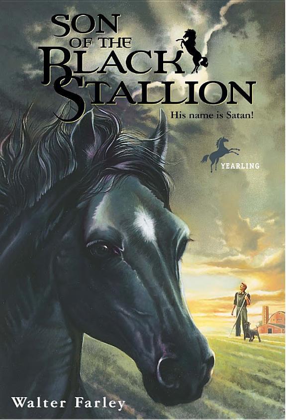 Black Stallion 03 Son Of The Black Stallion Walter Farley