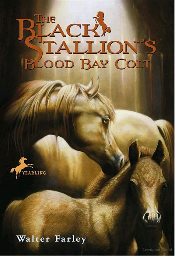 The Black Stallions Blood Bay Colt Walter Farley