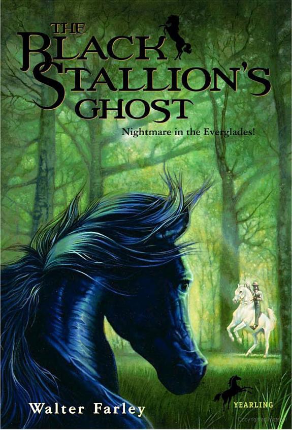 Black Stallion 18 Black Stallions Ghost Walter Farley