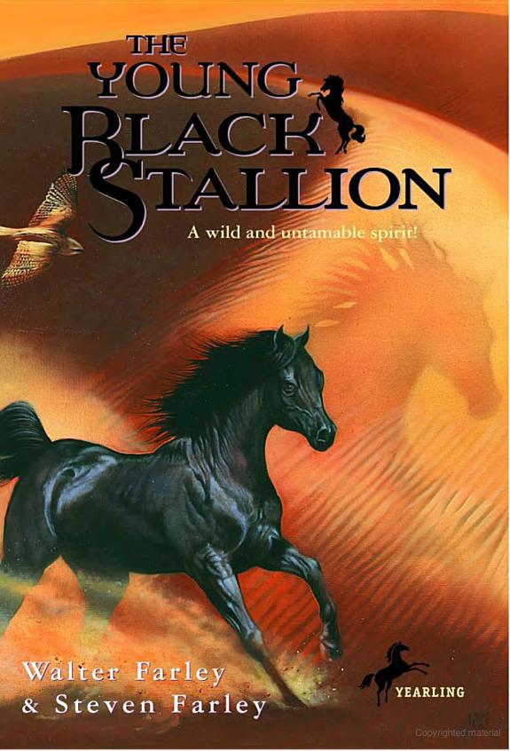 Black Stallion 21 The Young Black Stallion Walter Farley Steven Farley