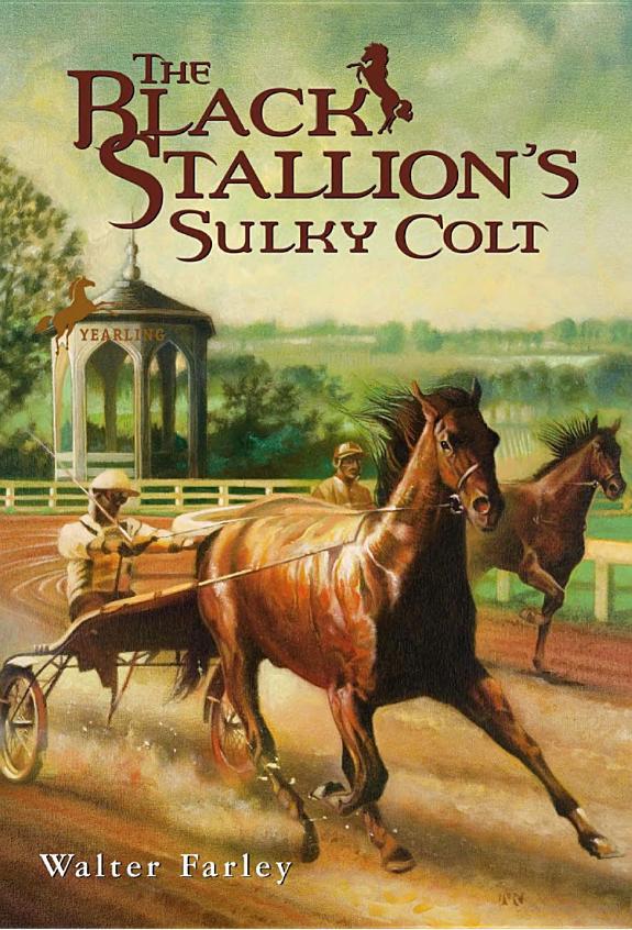 Black Stallions Sulky Colt Black Stallion 10 1st Edition Walter Farley