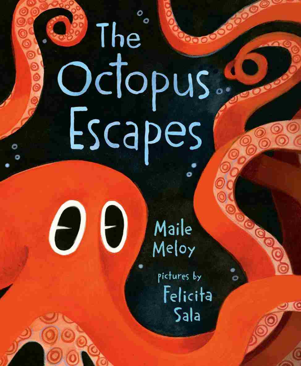 The Octopus Escapes Maile Meloy