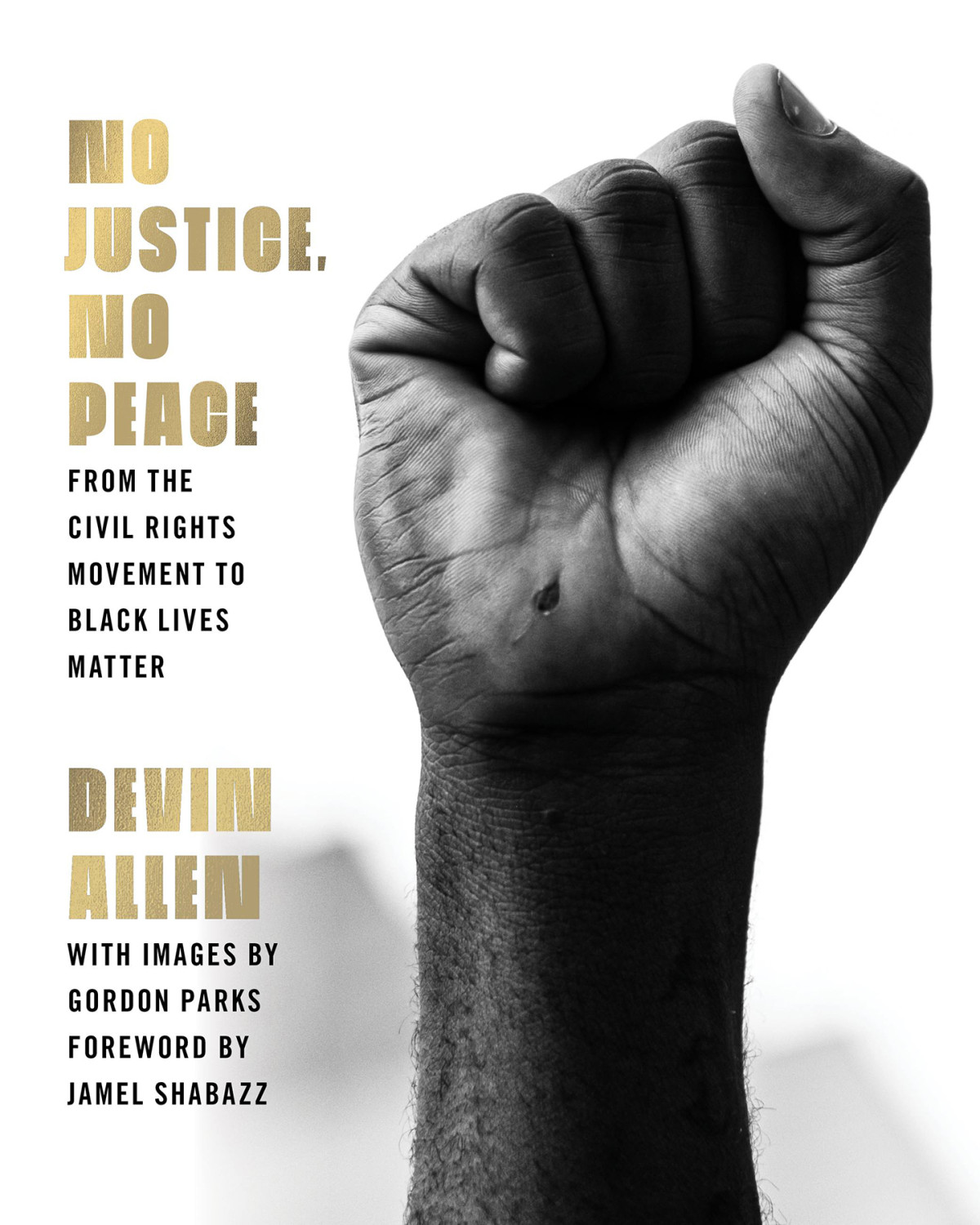 No Justice No Peace Devin Allen