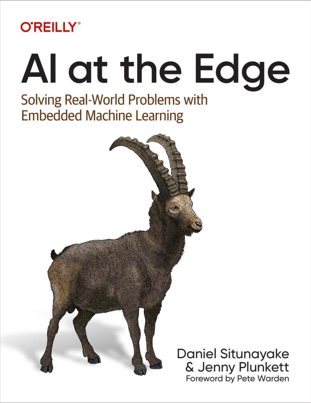 Ai At The Edge 1st Daniel Situnayake Jenny Plunkett
