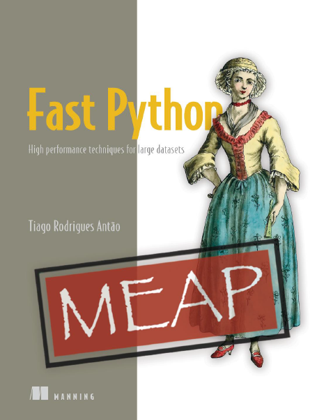 Fast Python High Performance Techniques For Large Datasets Meap V10 All 10 Chapters Tiago Rodrigues Antao