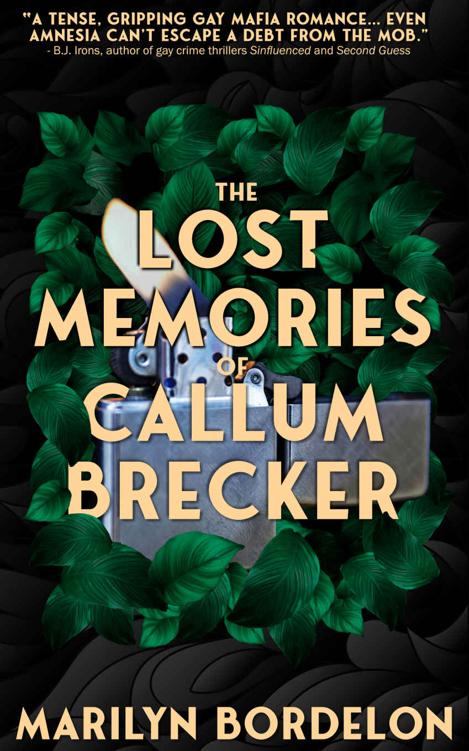The Lost Memories Of Callum Brecker 1st Edition Marilyn Bordelon