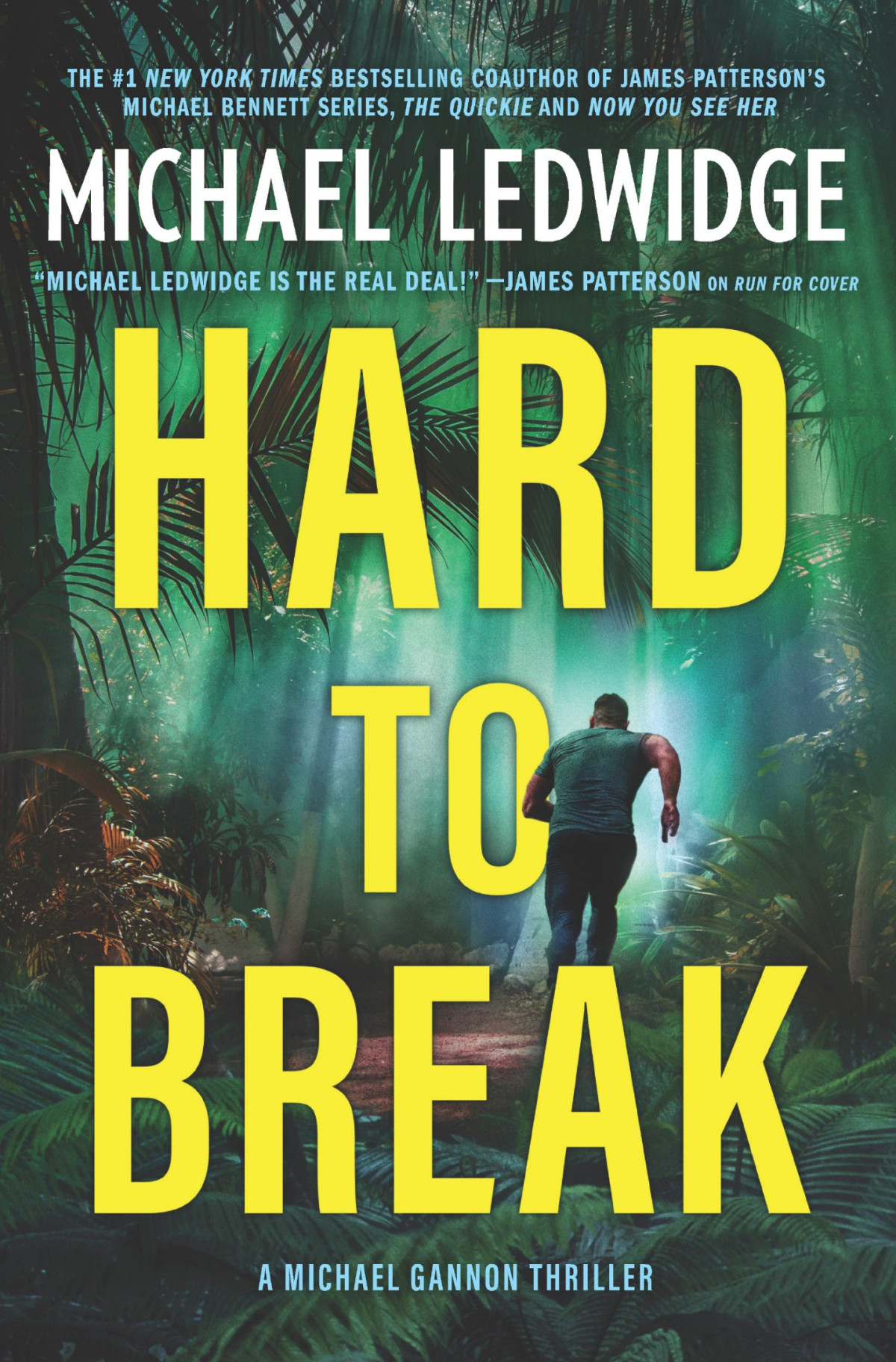 Hard To Break Michael Ledwidge