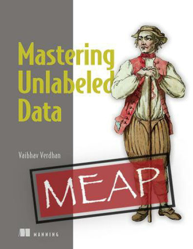 Mastering Unlabeled Data Meap V05 Chapters 1 To 7 Of 11 Vaibhav Verdhan