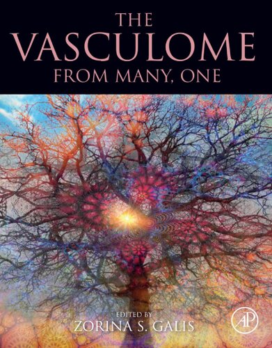 The Vasculome From Many One 1st Zorina S Galis Editor