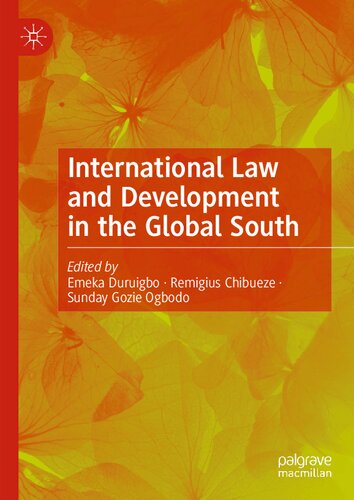 International Law And Development In The Global South 1st Emeka Duruigbo Remigius Chibueze Sunday Gozie Ogbodo