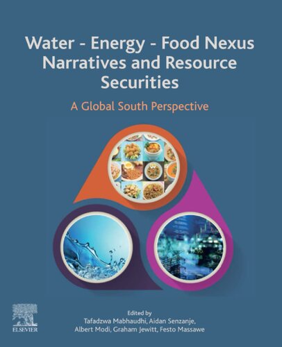 Water Energy Food Nexus Narratives And Resource Securities Tafadzwa Mabhaudhi Aidan Senzanje Albert T Modi Graham Jewitt Festo Massawe