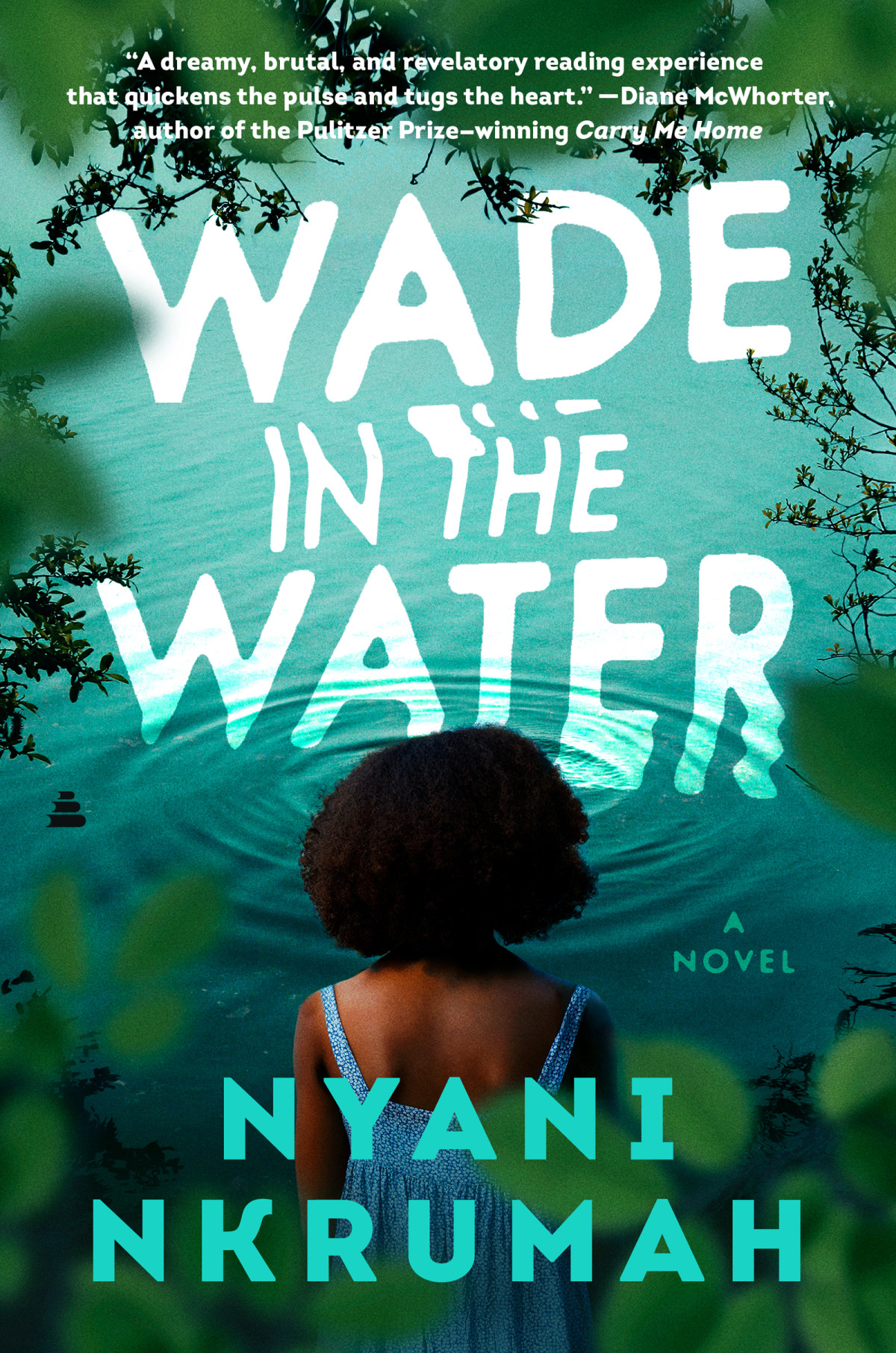 Wade In The Water A Novel Nyani Nkrumah