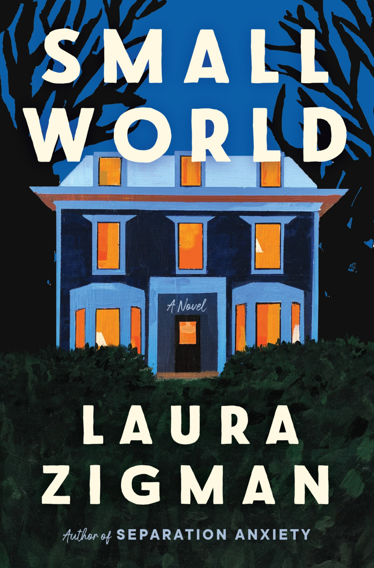 Small World Laura Zigman