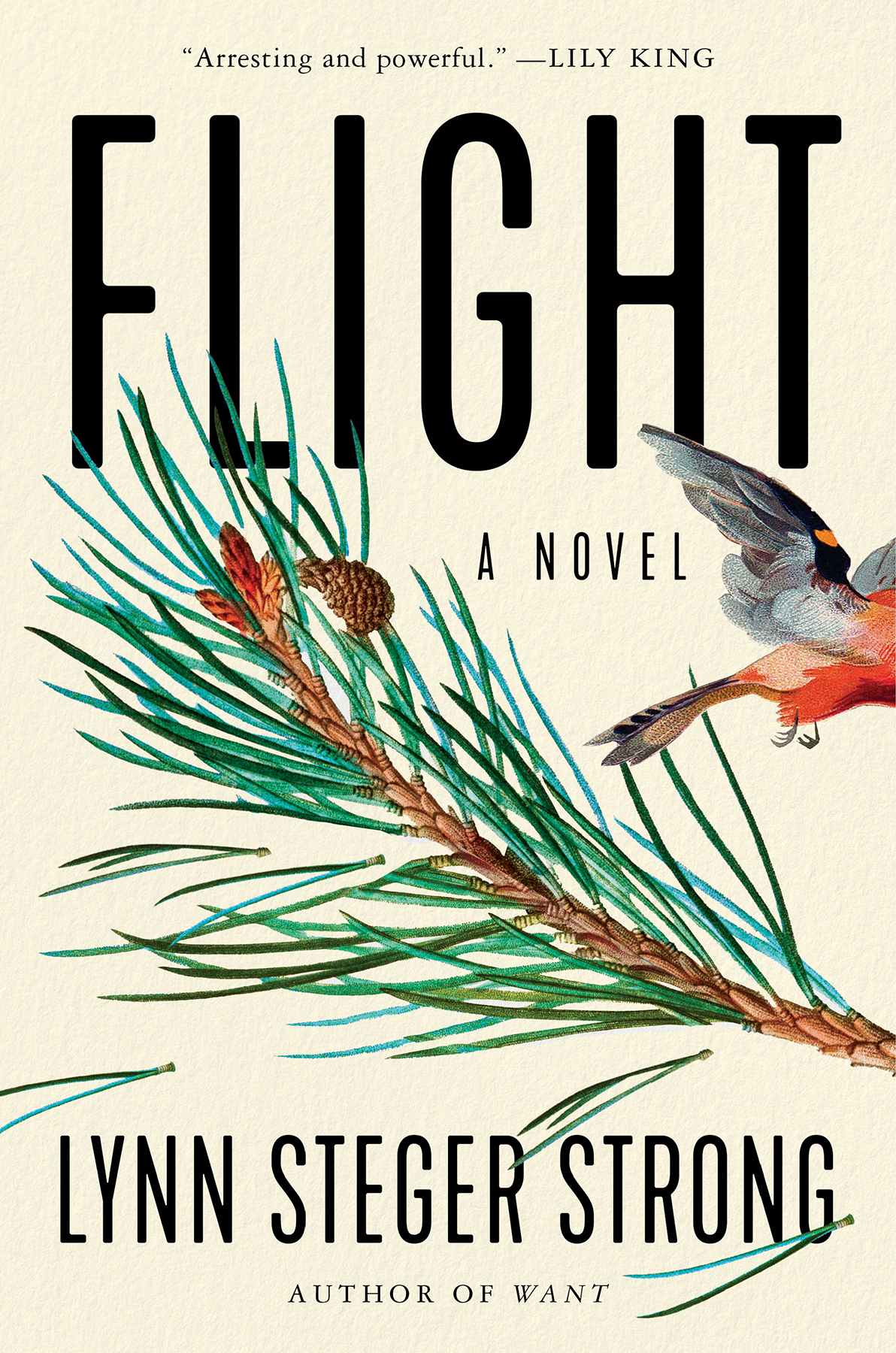 Flight A Novel Lynn Steger Strong